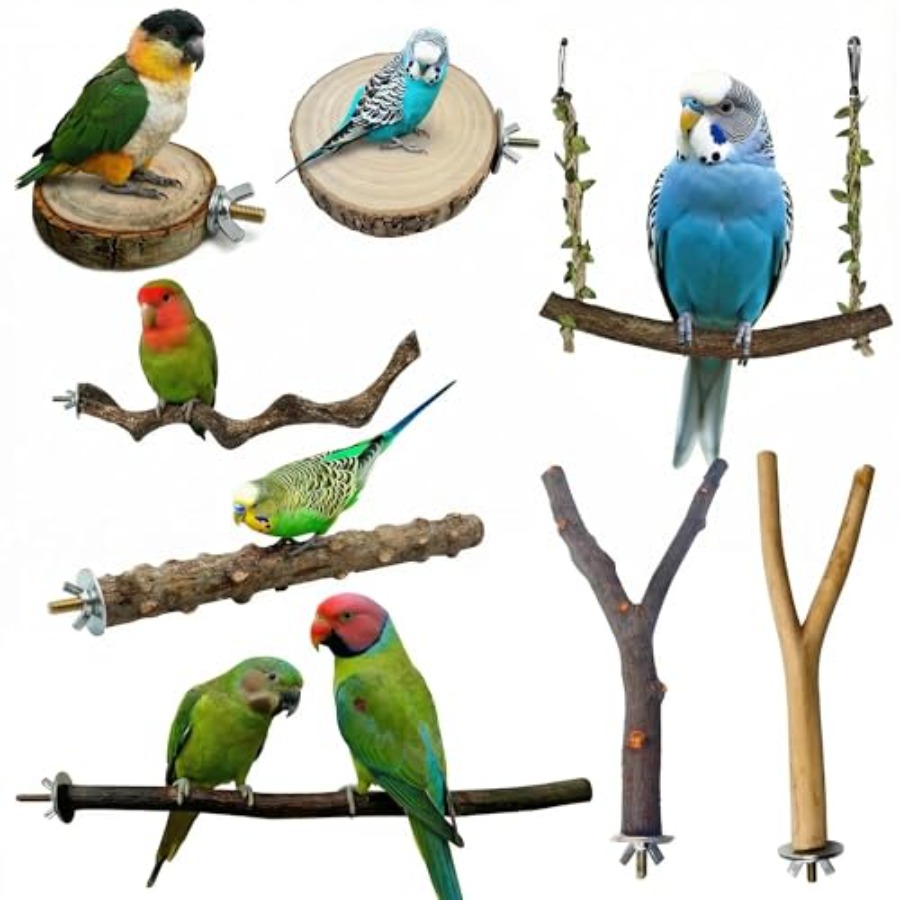 Health & Wellness Events - 8PCS natural wood bird perches for