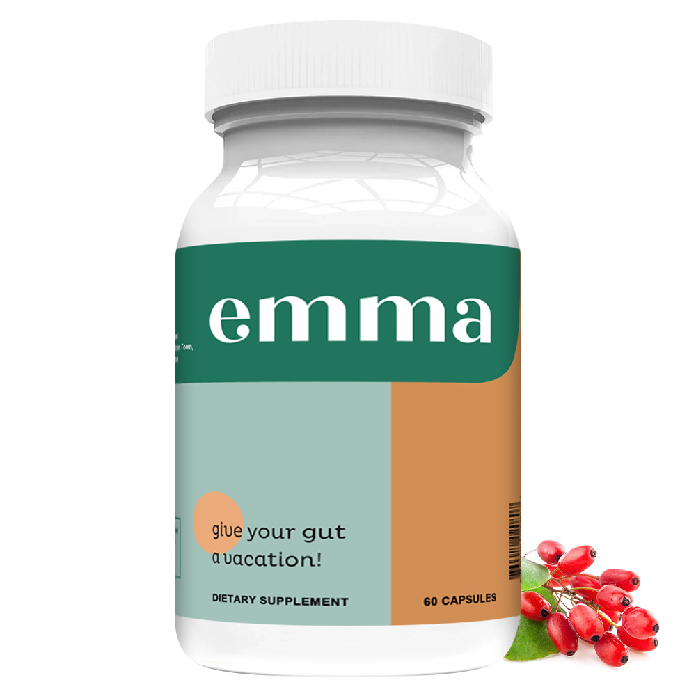 Gut Health Supplement - Suppor – обзор и цена Wellness Health Nutrition