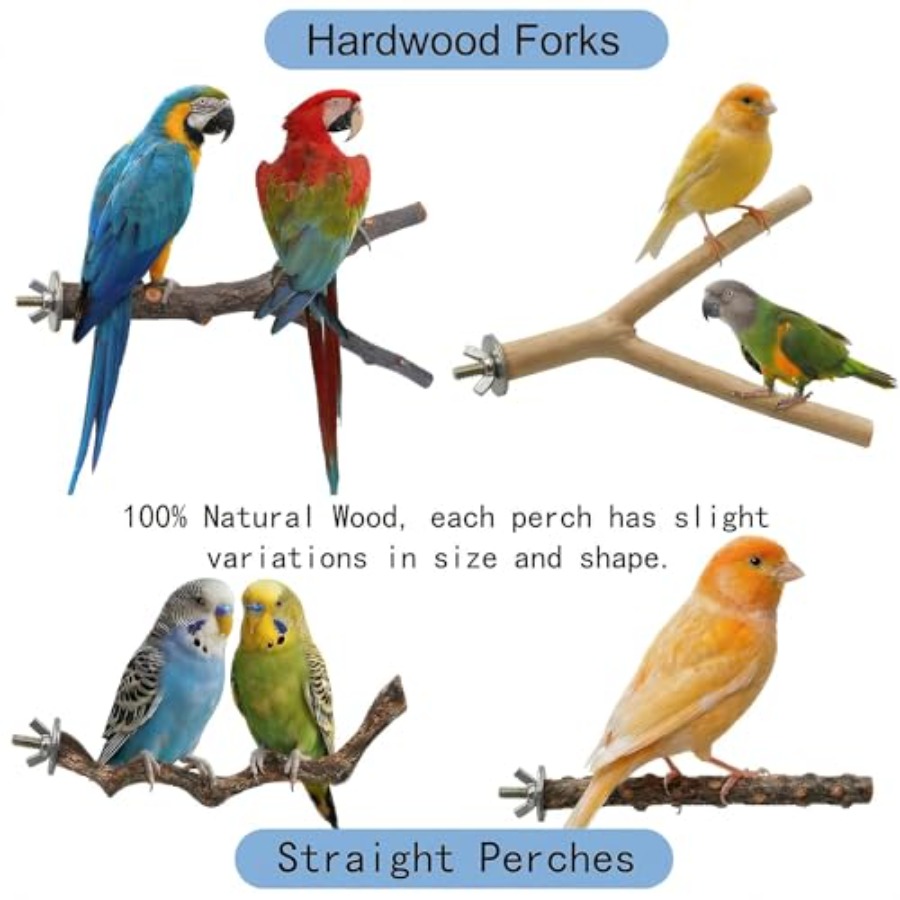 8PCS natural wood bird perches – обзор и цена Health & Wellness Events