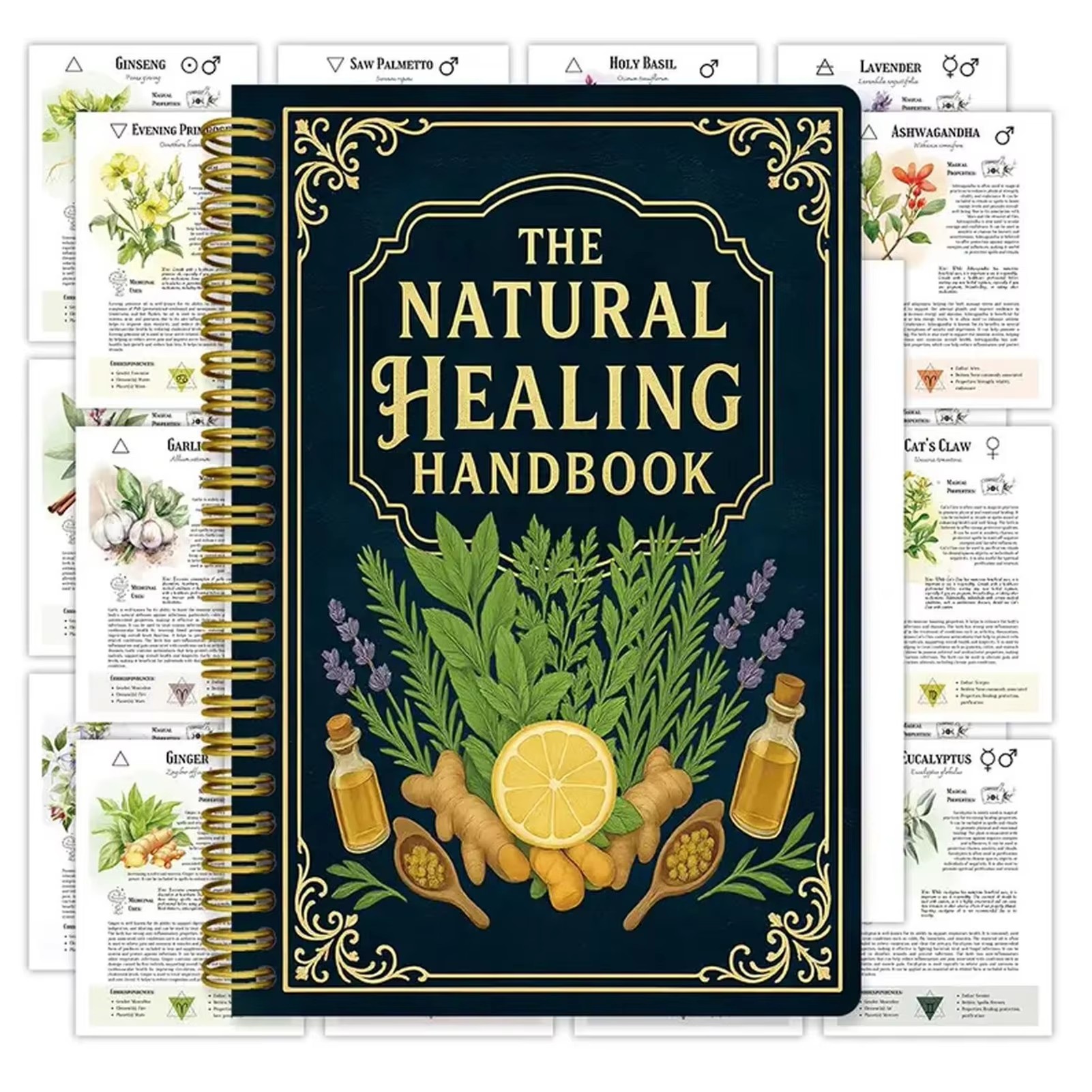 Healing Handbook By Luna Filby – обзор и цена Health & Wellness Events